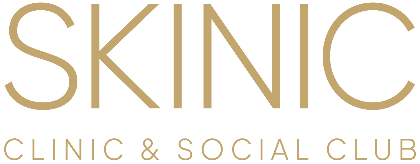 Skinic Logo